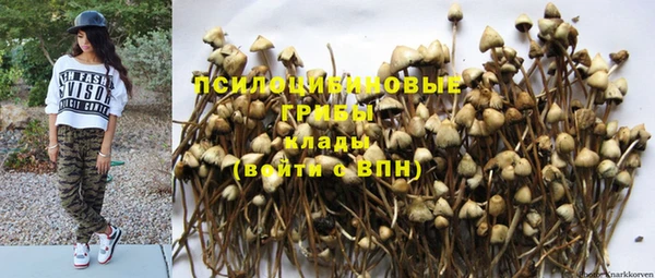 метадон Краснотурьинск