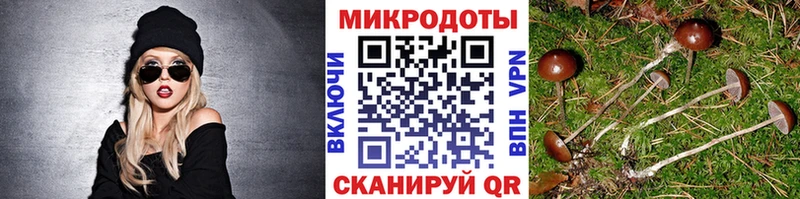 маркетплейс формула  гидра зеркало  Ногинск  Псилоцибиновые грибы MAGIC MUSHROOMS 