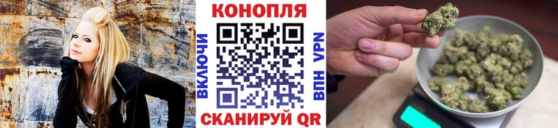 Бошки марихуана индика  Ногинск 